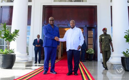 RDC : vers l'exemption de visa pour les ressortissants ougandais