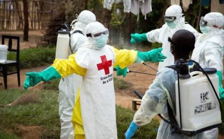 RDC : une nouvelle épidémie d'Ebola déclarée en Ituri, déjà 4 décès signalés