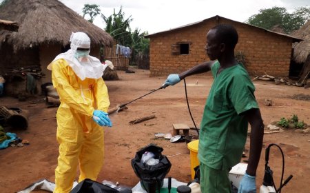 17e épidémie d'Ebola en RDC : déjà 80 décès suspects enregistrés