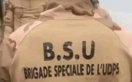 Jules Ilunga Kayembe ( Force du progrès / UDPS ) : " On va contrer toute manifestation contre la révision constitutionnelle "