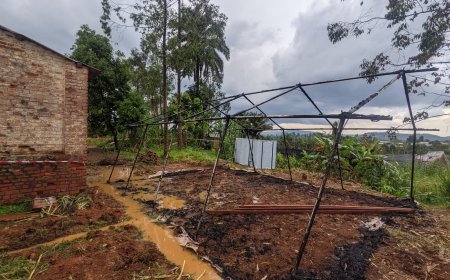 Panique à Mongwalu : dix-huit patients suspects d'Ebola en cavale après l'incendie d'une tente de soins