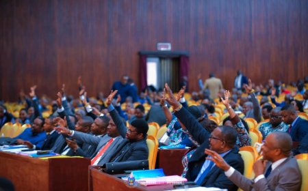 ‎RDC : l'Assemblée nationale valide le rapport de la commission PAJ sur la proposition de loi organisant le référendum