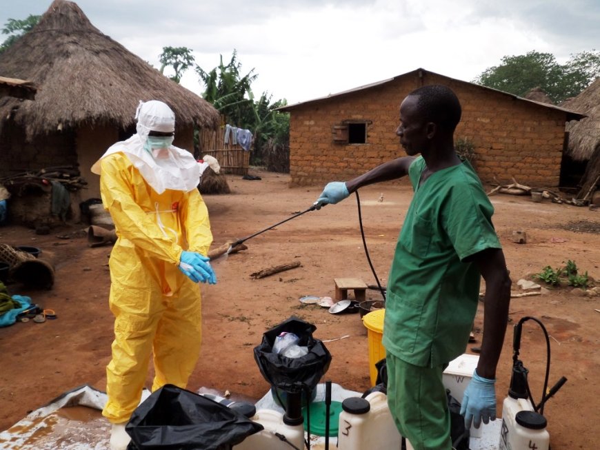 17e épidémie d'Ebola en RDC : déjà 80 décès suspects enregistrés