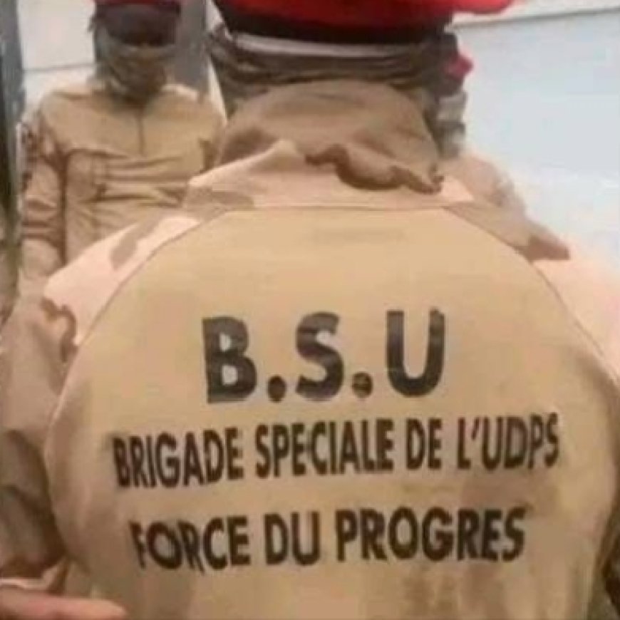 Jules Ilunga Kayembe ( Force du progrès / UDPS ) : " On va contrer toute manifestation contre la révision constitutionnelle "