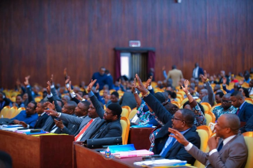 ‎RDC : l'Assemblée nationale valide le rapport de la commission PAJ sur la proposition de loi organisant le référendum
