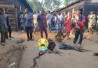 Bilan lourd à Beni après une double attaque des ADF : treize civils et un militaire FARDC tués