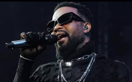 Double distinction pour Fally Ipupa : l'artiste remercie Félix Tshisekedi et exhorte la jeunesse à croire en ses capacités