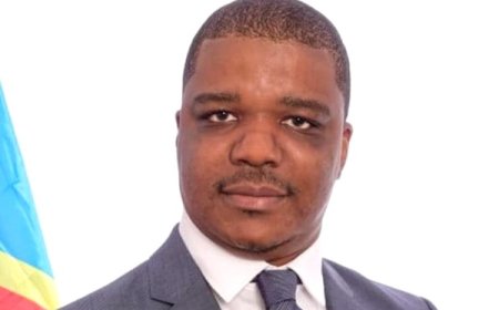 Ted Beleshayi Kasanda, nouveau DG de l'ARSP : un parcours entre audit, finances et militantisme