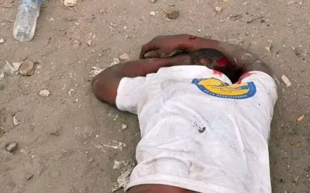 Répression du sit-in de la C64 : la vice-ministre de l'Intérieur accuse les opposants d'avoir utilisé du sang animal pour faire croire à des blessures