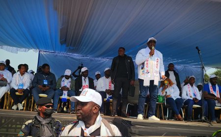 RDC : le ministre Louis Watum Kabamba plaide pour le changement de la Constitution et le maintien de Félix Tshisekedi au pouvoir le développement du pays