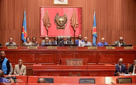 ‎RDC : le Sénat adopte, en des termes non identiques à ceux de l'Assemblée nationale, la proposition de loi référendaire, l'opposition dénonce un " forcing"