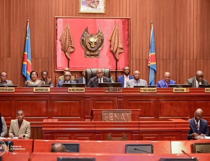 ‎Session extraordinaire au Sénat : 25 textes de loi sur la table, du Grand Inga à l'emploi des jeunes