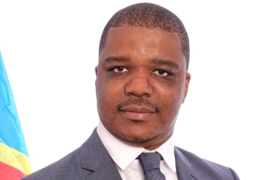 Ted Beleshayi Kasanda, nouveau DG de l'ARSP : un parcours entre audit, finances et militantisme