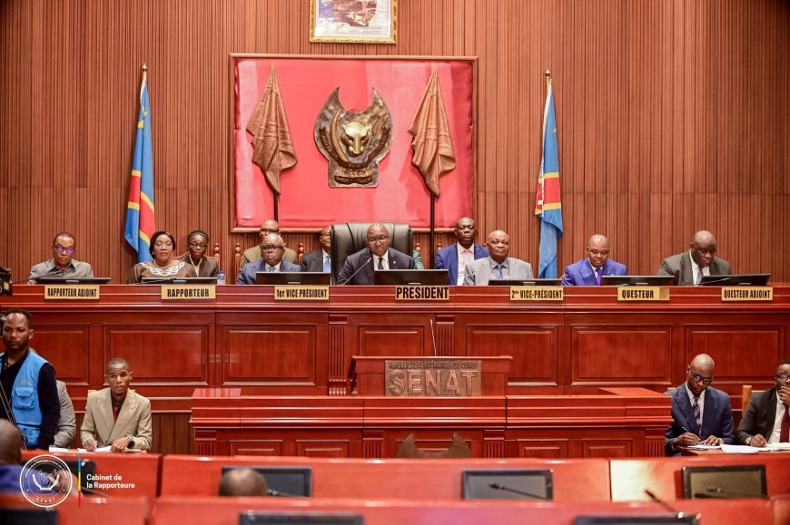 ‎RDC : le Sénat adopte, en des termes non identiques à ceux de l'Assemblée nationale, la proposition de loi référendaire, l'opposition dénonce un " forcing"