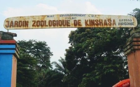 Kinshasa : le jardin zoologique va laisser place à un marché moderne (Hôtel de ville de Kinshasa)
