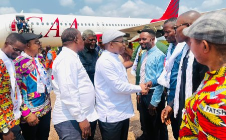 Redynamisation de l'UDPS-Tshisekedi : une délégation de cadres en mission à Mbandaka