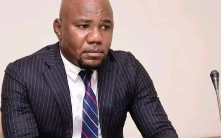 ‎Kinshasa : l'urbaniste Joël Kyana s'oppose à la construction d'un marché moderne sur le site du zoo