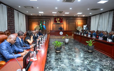 ‎Ebola en RDC : Félix Tshisekedi nomme le Dr Steve Ahuka coordinateur de la riposte face à la persistance de l'épidémie