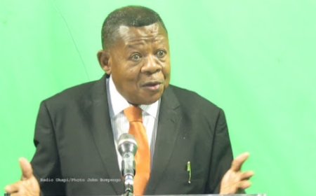 Lambert Mende, du "tshaku national" au repenti opportuniste : l'art congolais du retournement politique