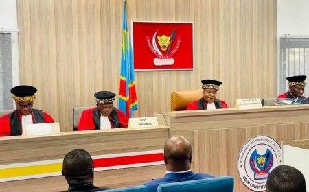 Référendum en RDC : voici les seules matières éligibles au vote populaire