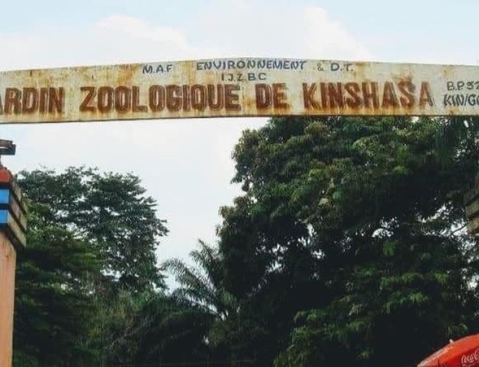 Kinshasa : le jardin zoologique va laisser place à un marché moderne (Hôtel de ville de Kinshasa)