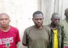 Hauts plateaux de Fizi : affamés et malades, 13 rebelles AFC-M23/Twirwaneho-Red Tabara se rendent aux FARDC