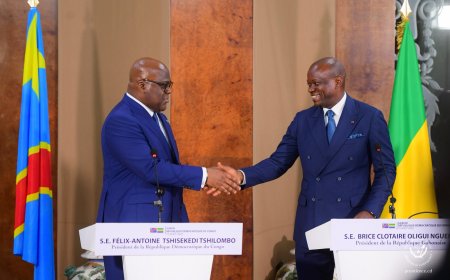 ‎RDC-Gabon: Félix Tshisekedi trouve en Brice Oligui Nguema "un partenaire qui partage la même vision"