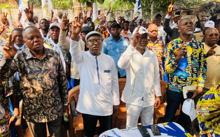 ‎Mission de cohésion à Mwene-Ditu : Déo Bizibu appelle les cadres et militants de l'UDPS-Tshisekedi à la discipline et à l'unité