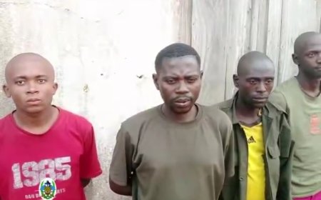 Hauts plateaux de Fizi : affamés et malades, 13 rebelles AFC-M23/Twirwaneho-Red Tabara se rendent aux FARDC