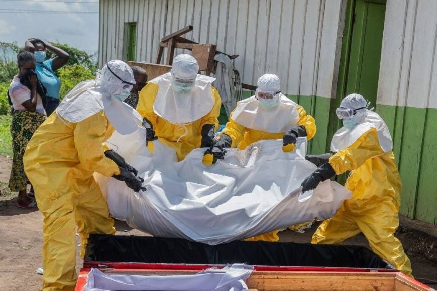 ‎Ebola en RDC : l'OMS recommande un essai clinique du vaccin Ervebo