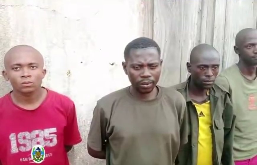 Hauts plateaux de Fizi : affamés et malades, 13 rebelles AFC-M23/Twirwaneho-Red Tabara se rendent aux FARDC