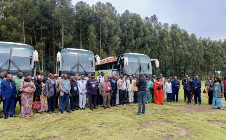 Crise dans l'Est : la MONUSCO rapatrie 120 ex-rebelles des FDLR vers le Rwanda