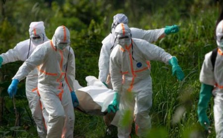 Ebola en RDC : 3 676 décès et une épidémie loin d'être maîtrisée, alerte MSF