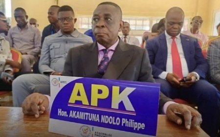 Santé/Kwilu : le gouverneur Philippe Akamituna passe outre les directives du VPM Lihau et signe une commission d'affectation collective aux matricules fantaisistes