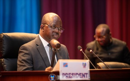 ‎RDC : L’Assemblée nationale déclare recevable le projet de loi anti-corruption et proroge l’état de siège