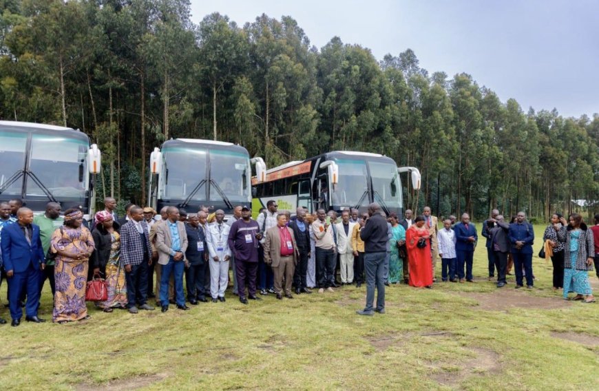Crise dans l'Est : la MONUSCO rapatrie 120 ex-rebelles des FDLR vers le Rwanda