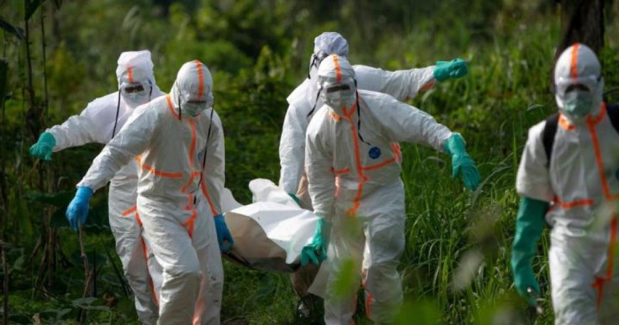 Ebola en RDC : 3 676 décès et une épidémie loin d'être maîtrisée, alerte MSF