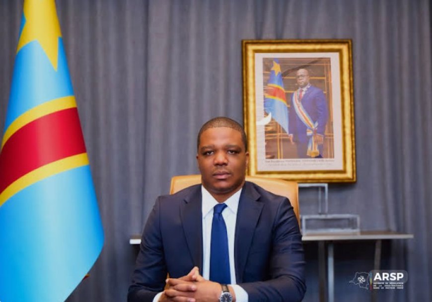 ARSP : Ted Beleshayi ordonne aux groupes miniers Ivanhoe et Eurasian Resources Group de mettre fin à leurs contrats de sous-traitance non conformes