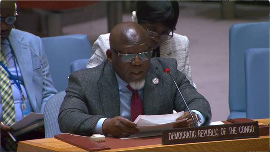 Est de la RDC : Kinshasa demande à l'ONU de suspendre la participation des casques bleus rwandais aux opérations de paix
