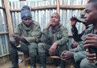 Offensives des FARDC dans le Nord-Kivu : 29 rebelles de l'AFC-M23 se rendent, 10 capturés