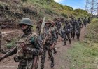 Nord-Kivu : les FARDC reprennent la colline stratégique de Rushihe à Walikale