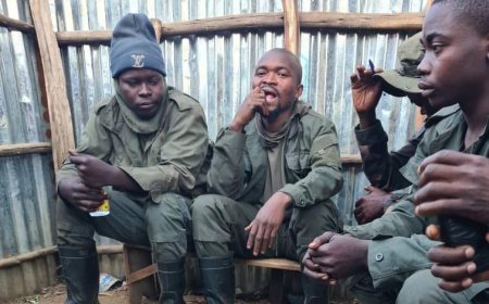 Offensives des FARDC dans le Nord-Kivu : 29 rebelles de l'AFC-M23 se rendent, 10 capturés