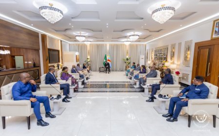 Échange entre Félix Tshisekedi et les facilitateurs de l'UA : le chef de l'État congolais exige une application "concrète et vérifiable" des engagements de paix