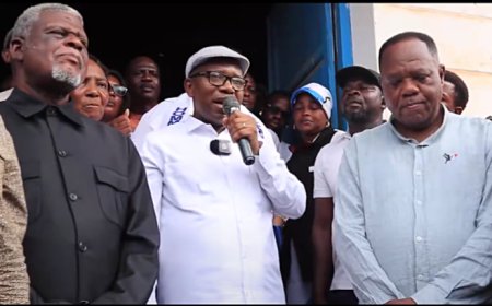 Réunification de l'UDPS-Tshisekedi : une délégation de cadres en mission à Kisangani