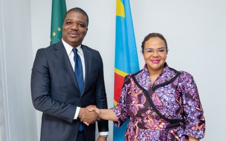 RDC : la diplomatie économique au cœur d'une nouvelle collaboration entre le ministère des Affaires étrangères et l'ARSP