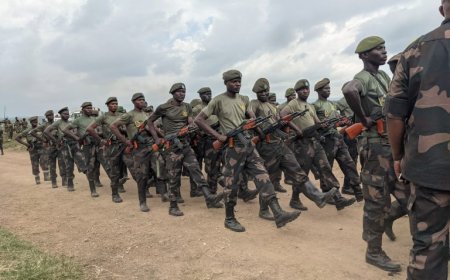 RDC : les FARDC ouvrent le recrutement aux étudiants universitaires pour renforcer la lutte contre la rébellion