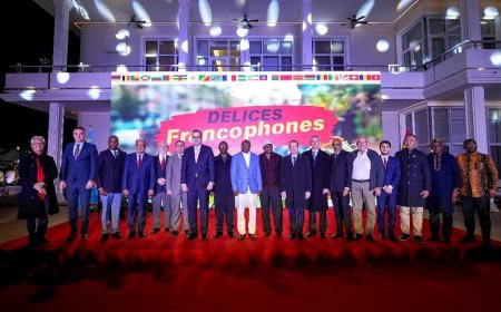 L'ambassade de la RDC en Chine accueille les "Délices francophones", entre valorisation culturelle et coopération économique