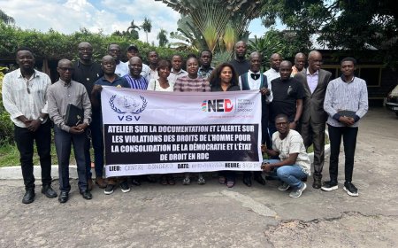 Kinshasa : des acteurs de la société civile formés par la VSV pour documenter et alerter les violations des droits humains