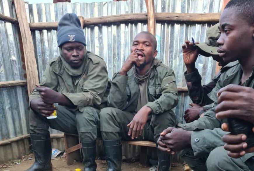 Offensives des FARDC dans le Nord-Kivu : 29 rebelles de l'AFC-M23 se rendent, 10 capturés