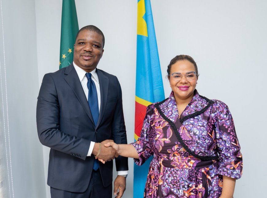 RDC : la diplomatie économique au cœur d'une nouvelle collaboration entre le ministère des Affaires étrangères et l'ARSP